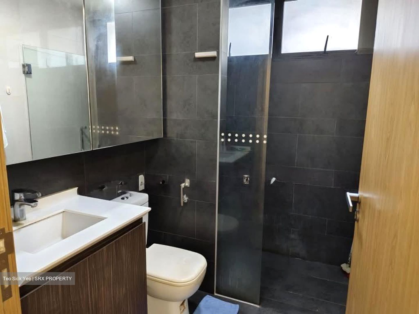 Parc Olympia (D17), Condominium #553585751